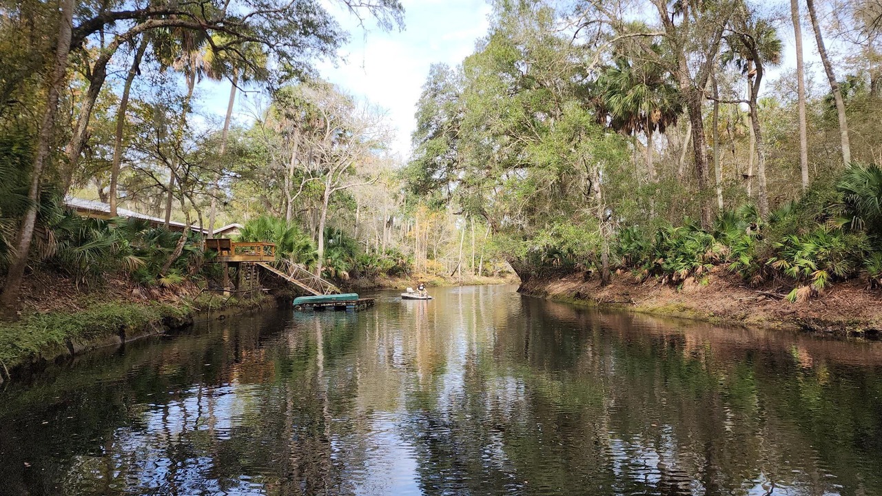 Photo of Outdoor in Steinhatchee