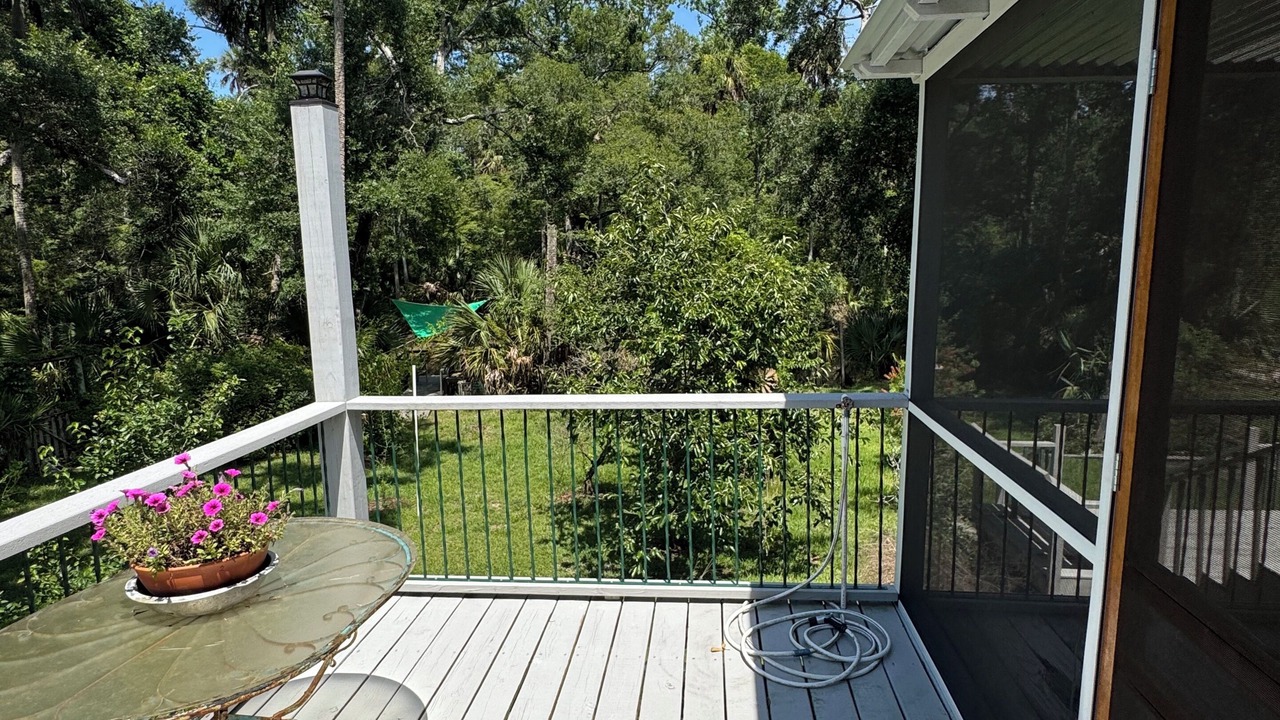 Photo of Outdoor in Steinhatchee