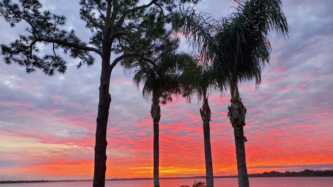 Photo of Outdoor in Tavares