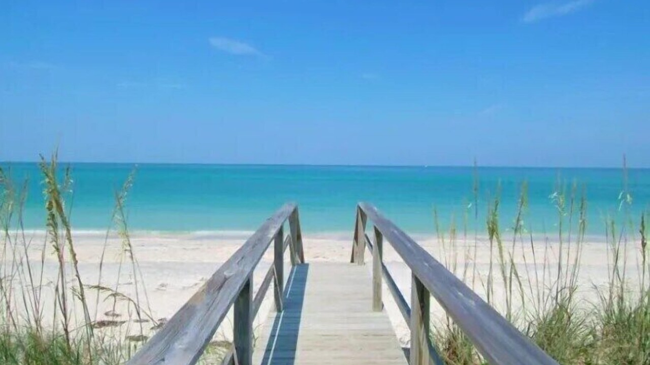 Photo of Others in Sarasota