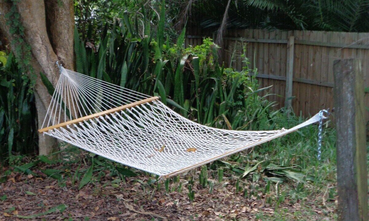 Photo of Others in Sarasota