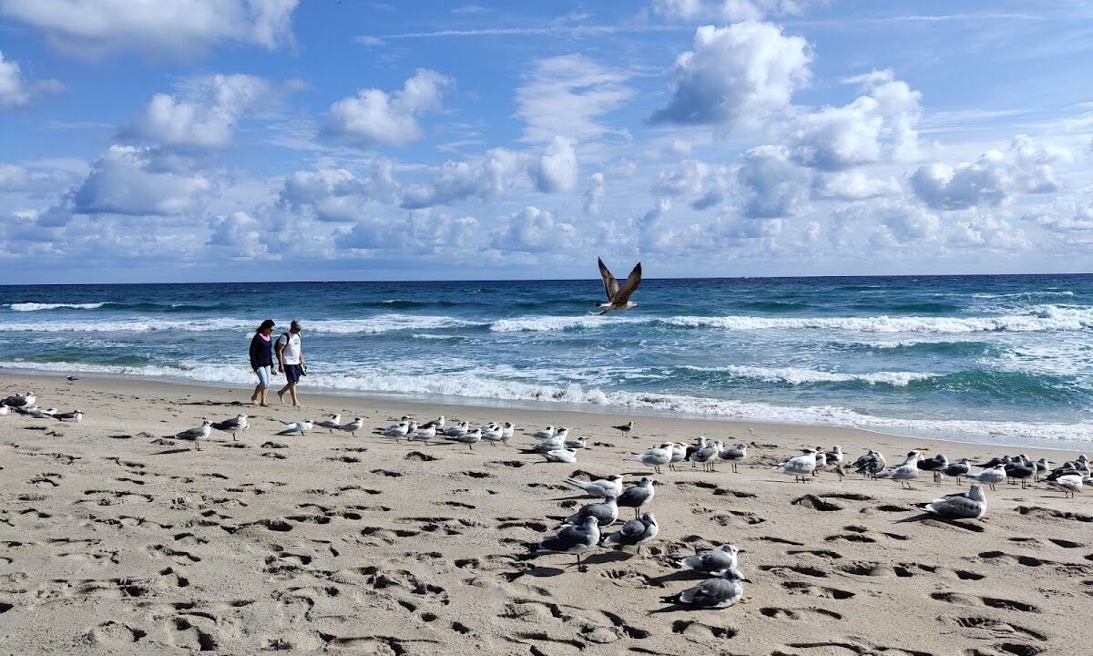 Photo of Others in Delray Beach