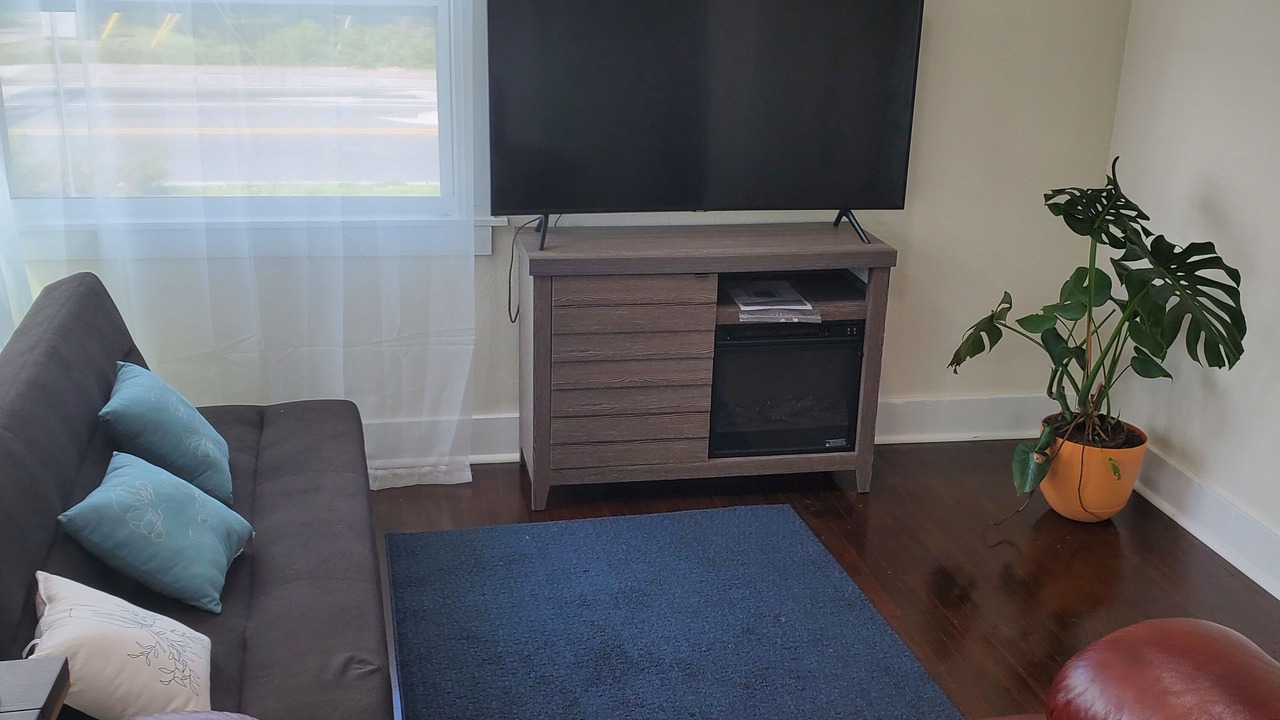 Photo of Livingroom in New Port Richey