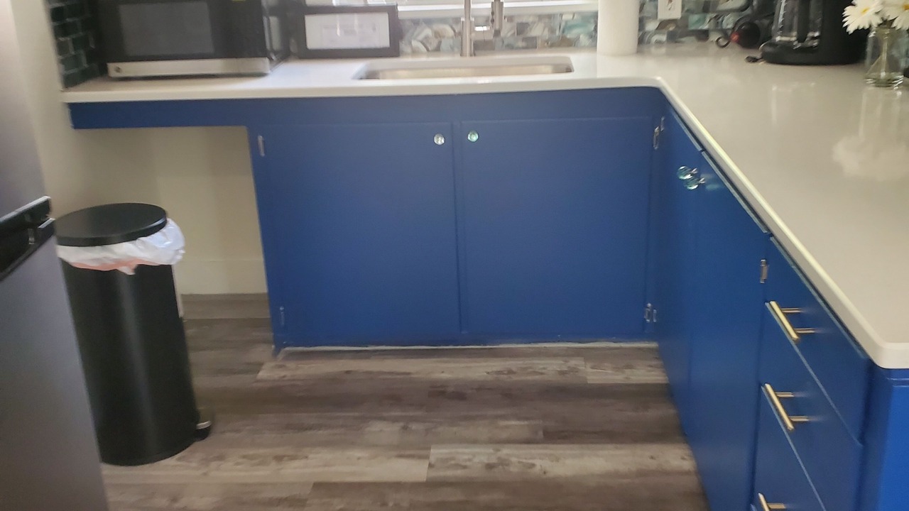 Photo of Kitchen in New Port Richey
