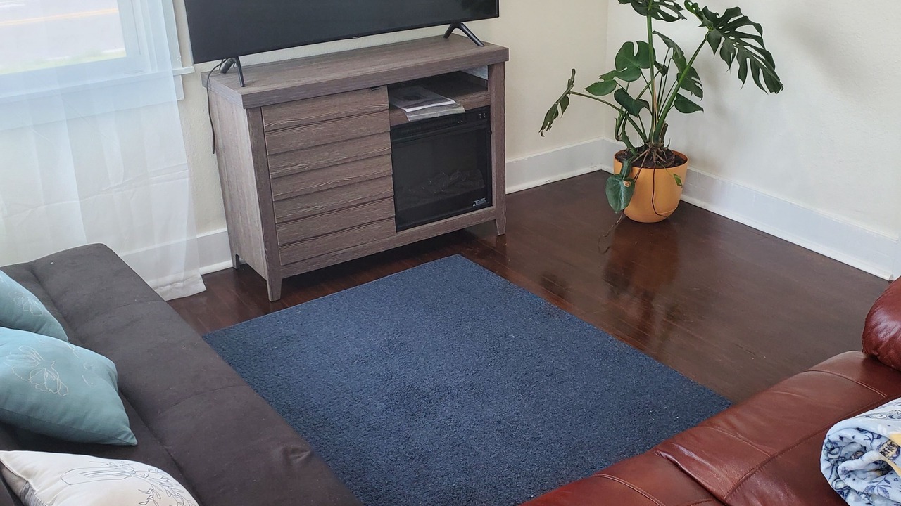 Photo of Livingroom in New Port Richey