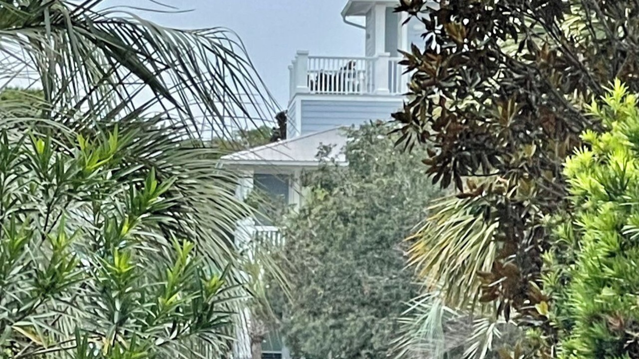 Photo of Others in Gulfview Heights