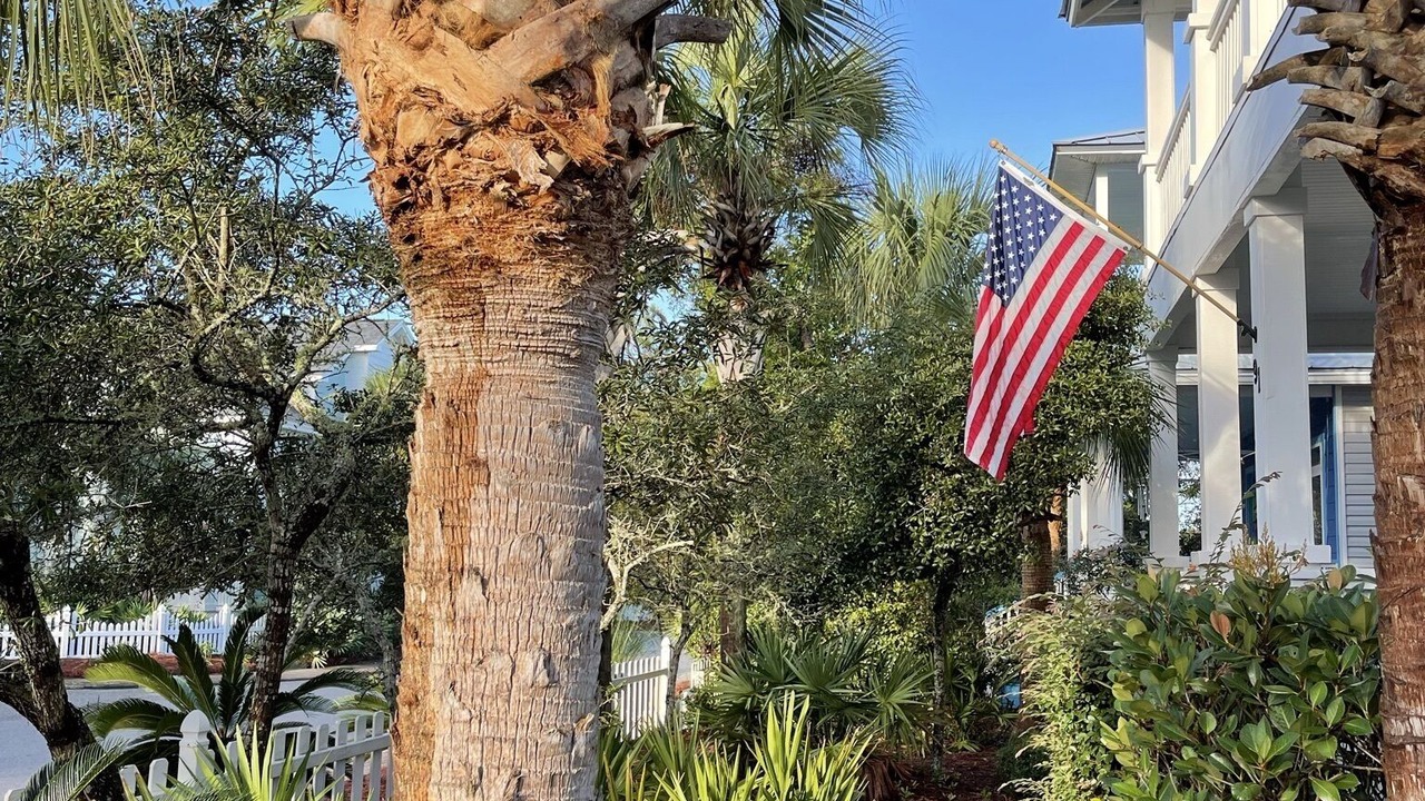 Photo of Outdoor in Gulfview Heights