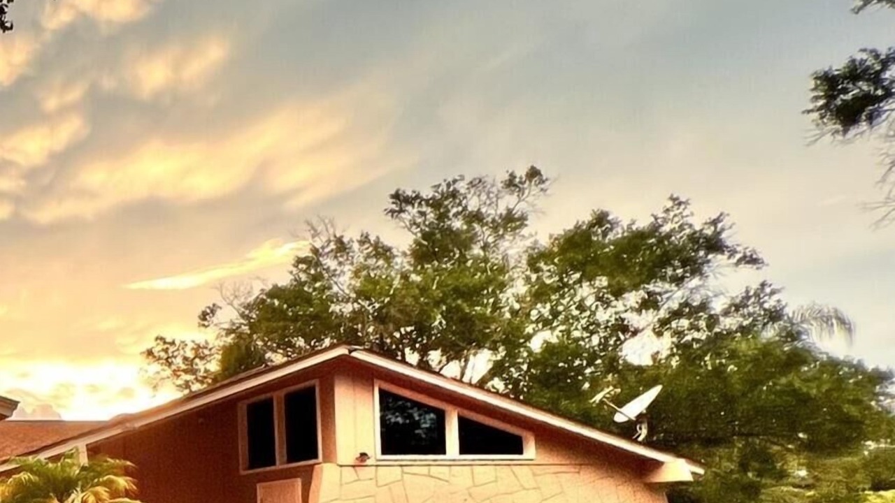 Photo of Outdoor in Tampa