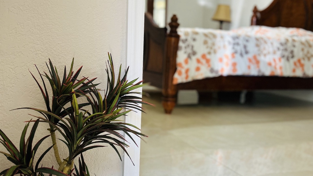 Photo of Bedroom in Tampa