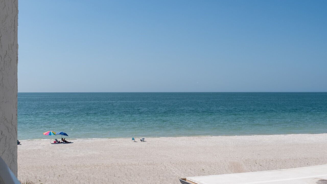 Photo of Outdoor in Belleair Beach