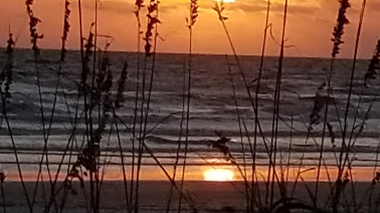Photo of Others in New Smyrna Beach