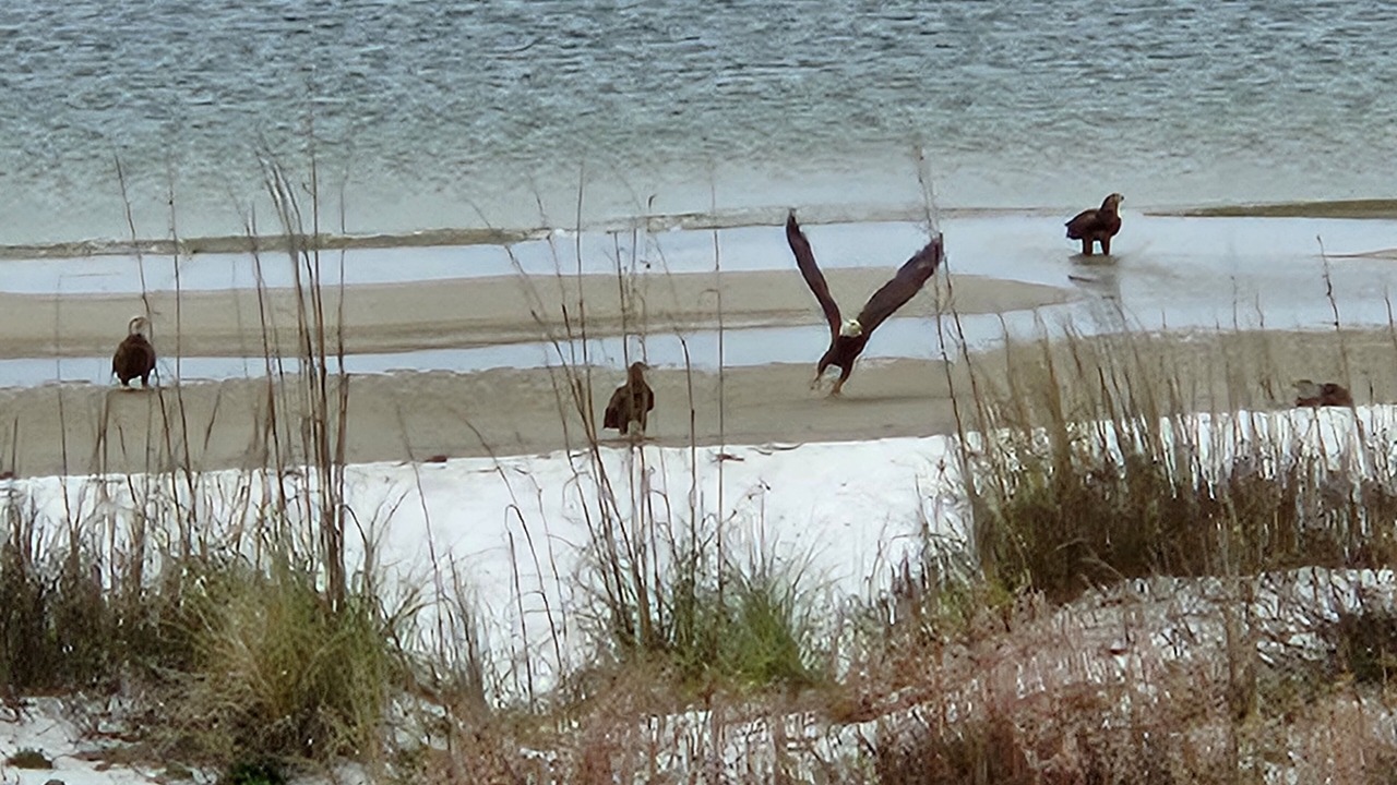 Photo of Others in Port St. Joe
