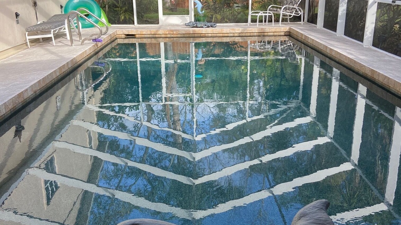 Photo of Outdoor in Braden River