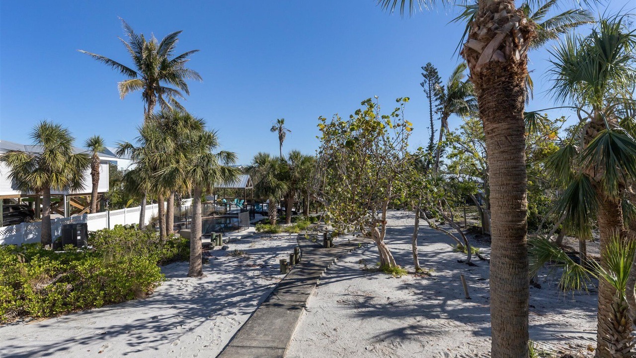 Photo of Outdoor in Palm Island