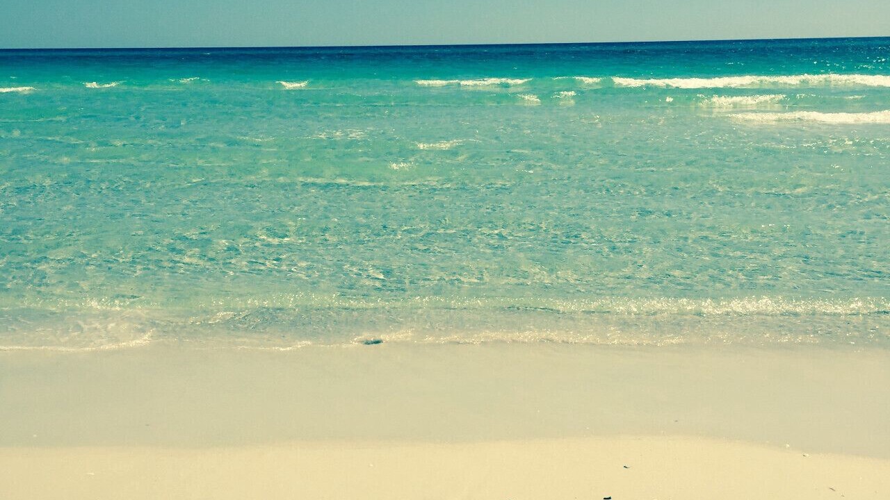 Photo of Others in Laguna Beach