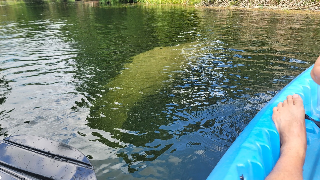 Photo of Outdoor in Weeki Wachee Gardens