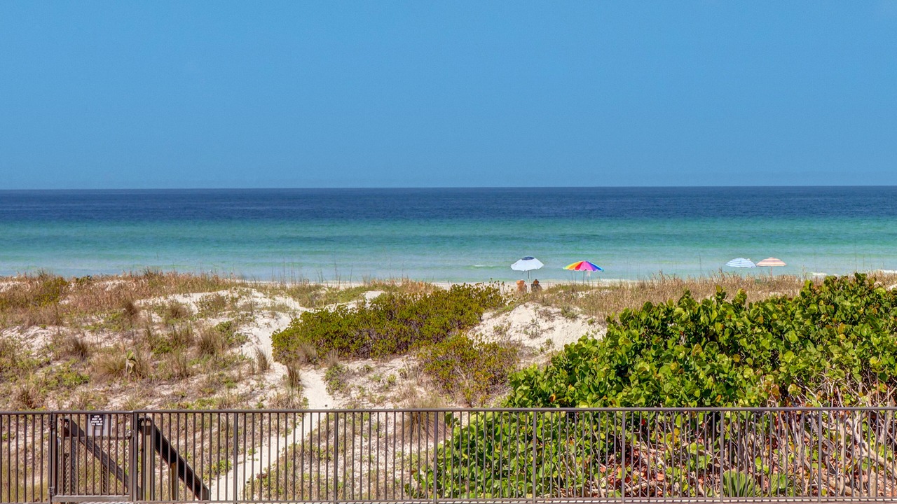 Photo of Others in Indian Rocks Beach