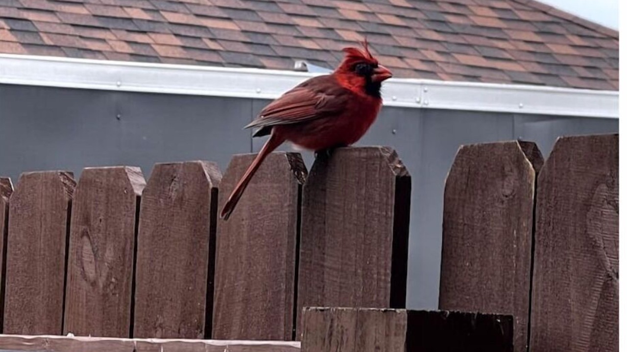 Photo of Outdoor in Kingsland