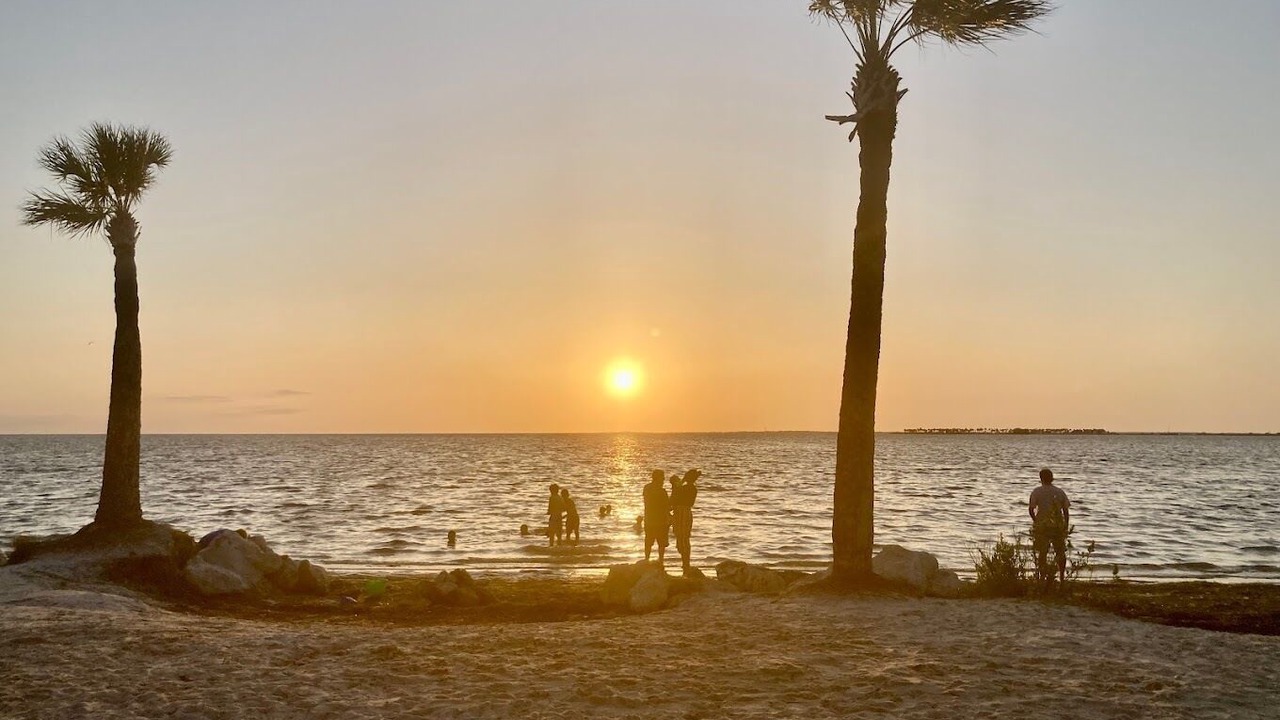 Photo of Others in Tarpon Springs