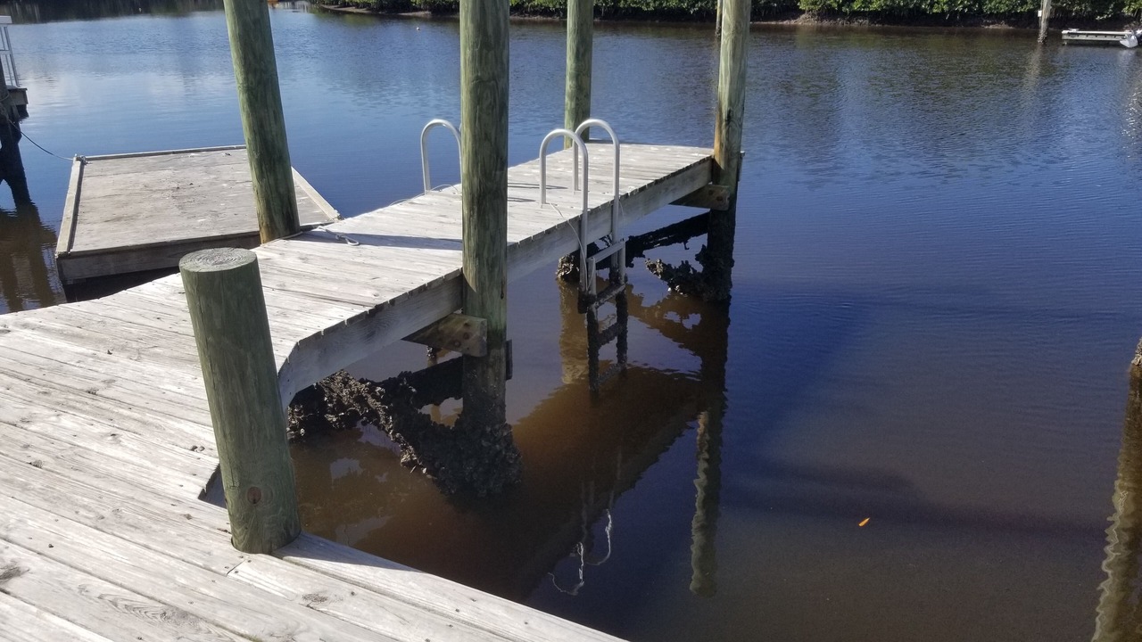 Photo of Outdoor in Everglades City