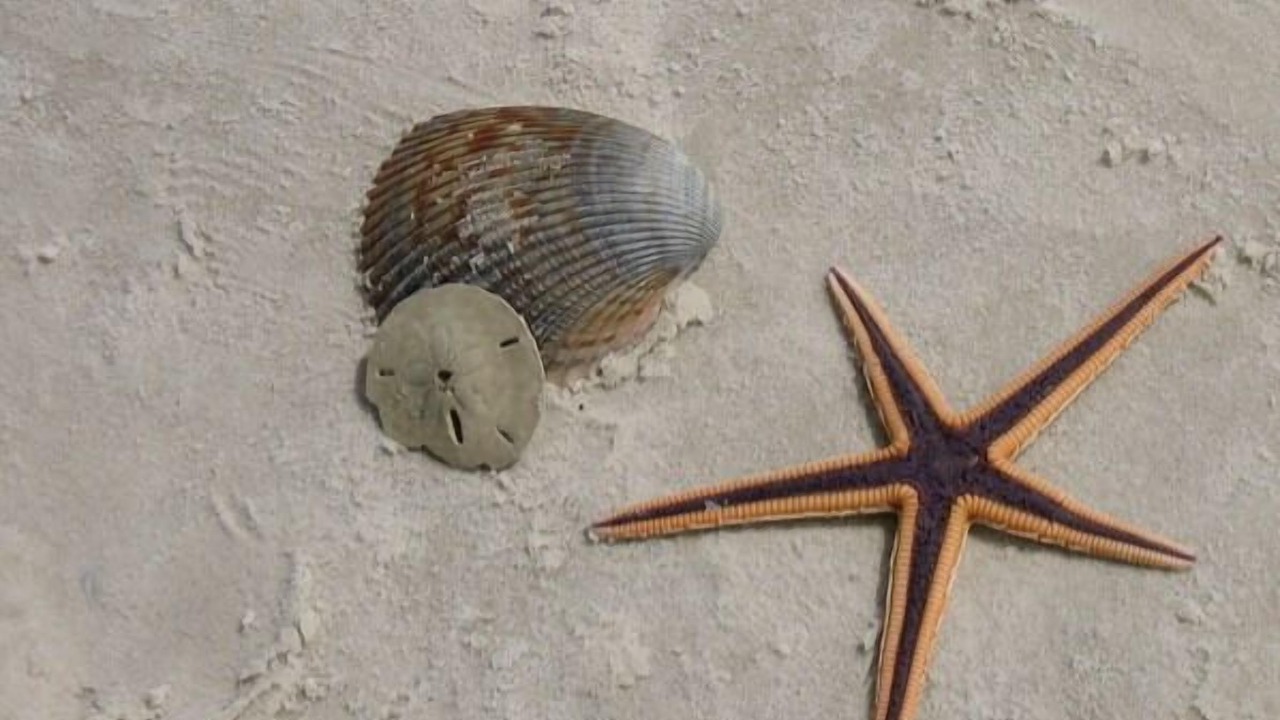 Photo of Others in Port St. Joe