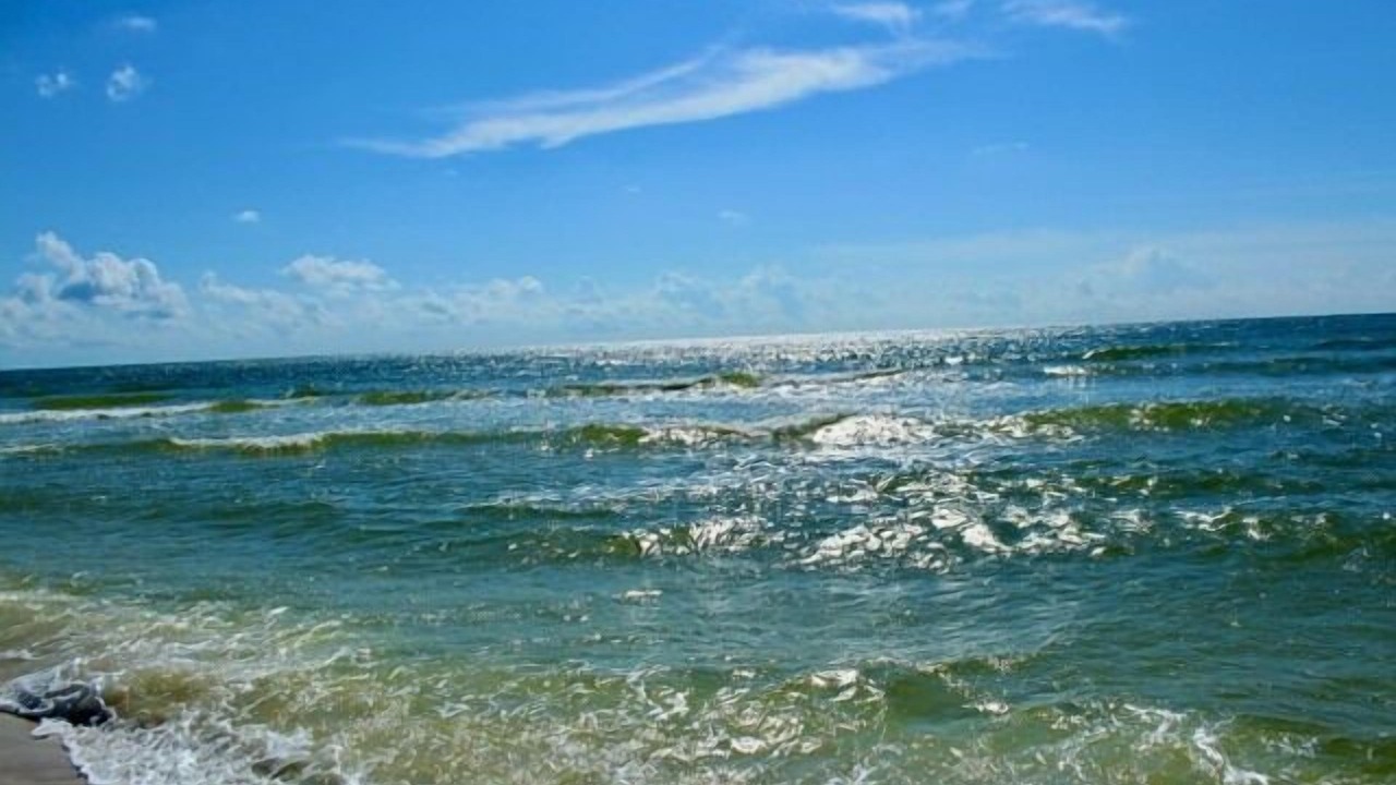 Photo of Others in Port St. Joe