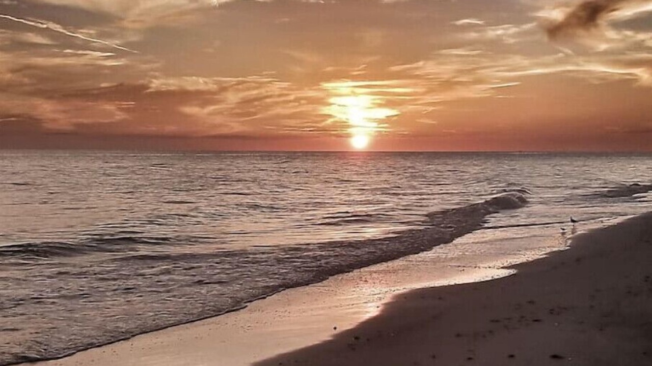 Photo of Others in Whitney Beach