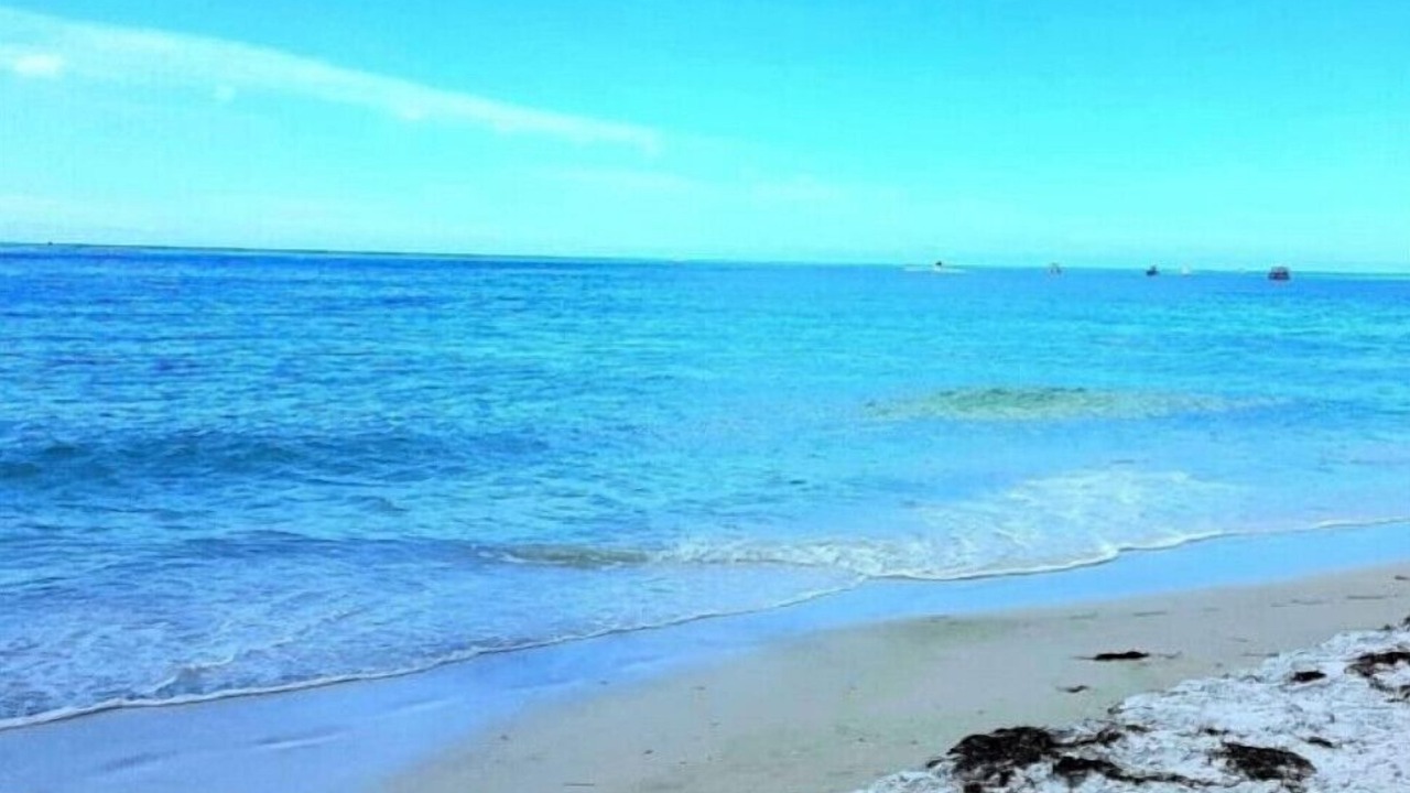 Photo of Others in Whitney Beach