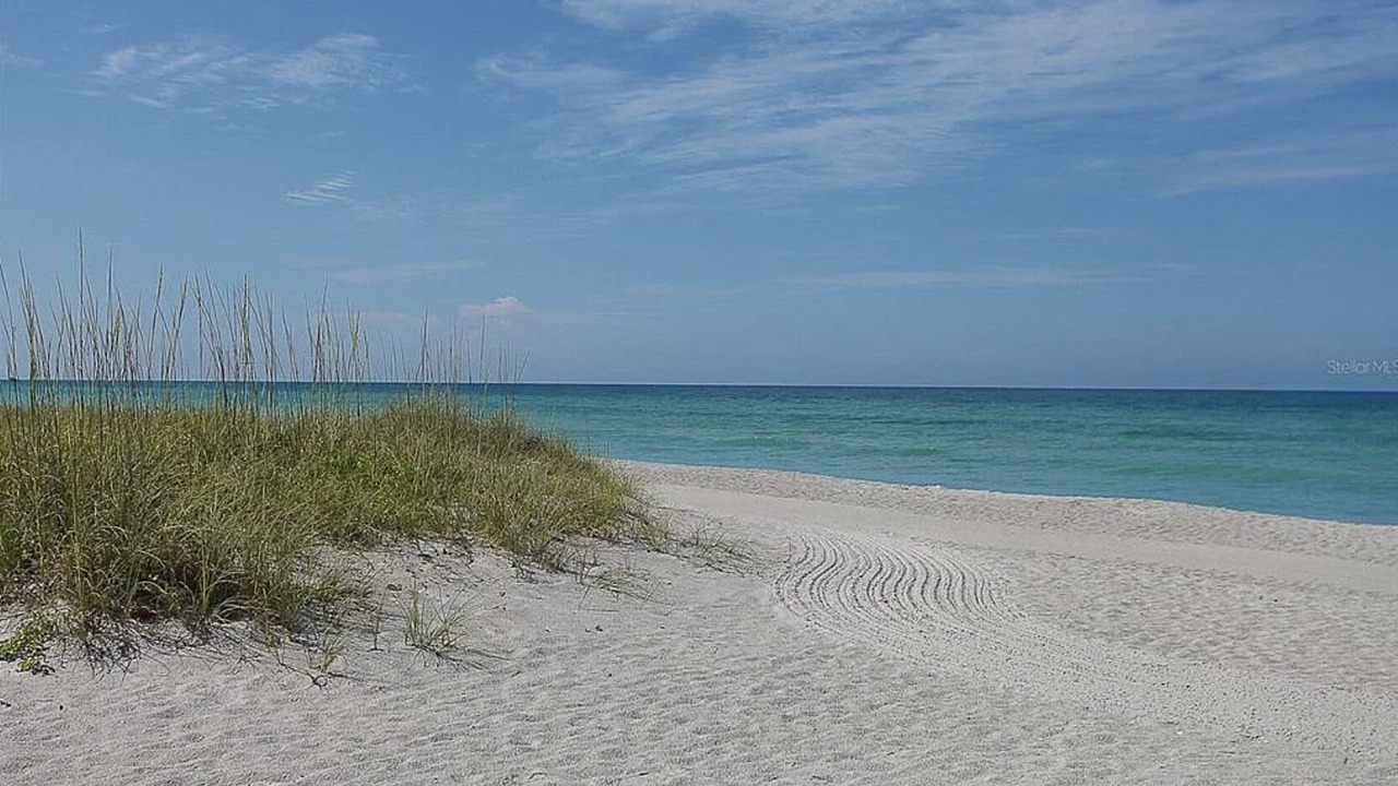 Photo of Others in Bay Isles