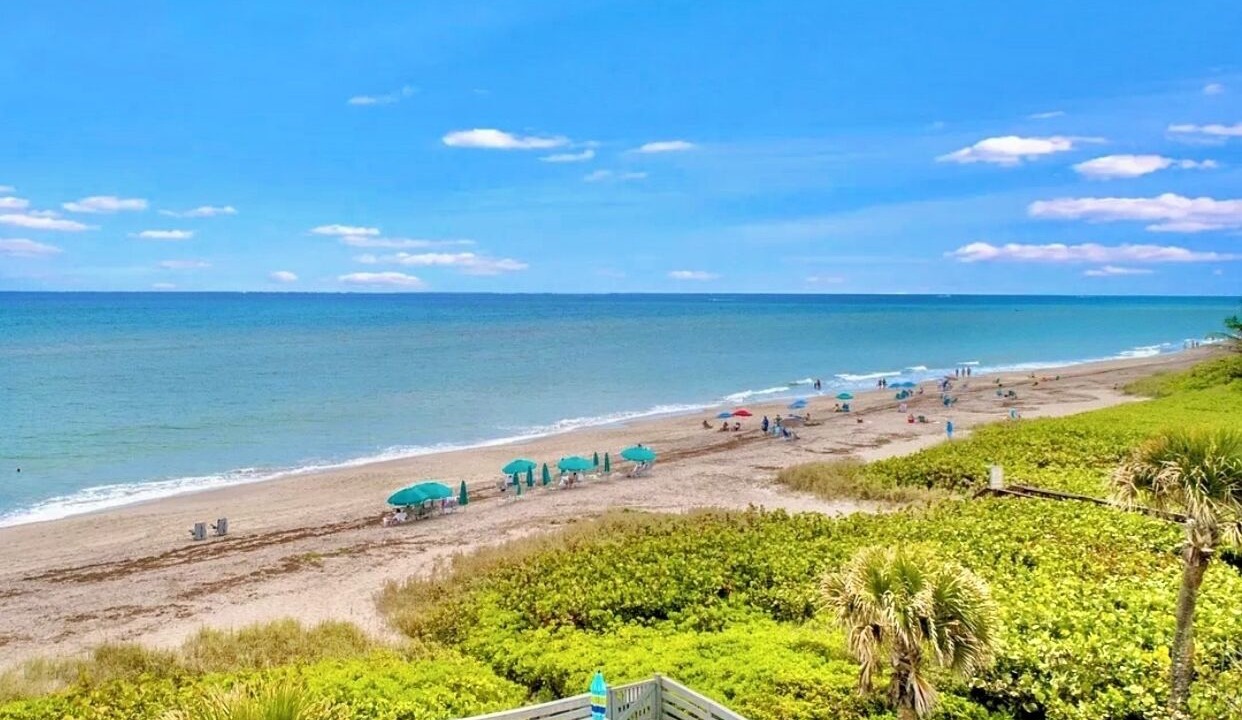 Photo of Others in Juno Beach