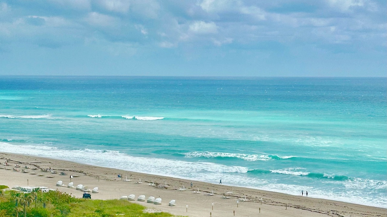 Photo of Others in Juno Beach