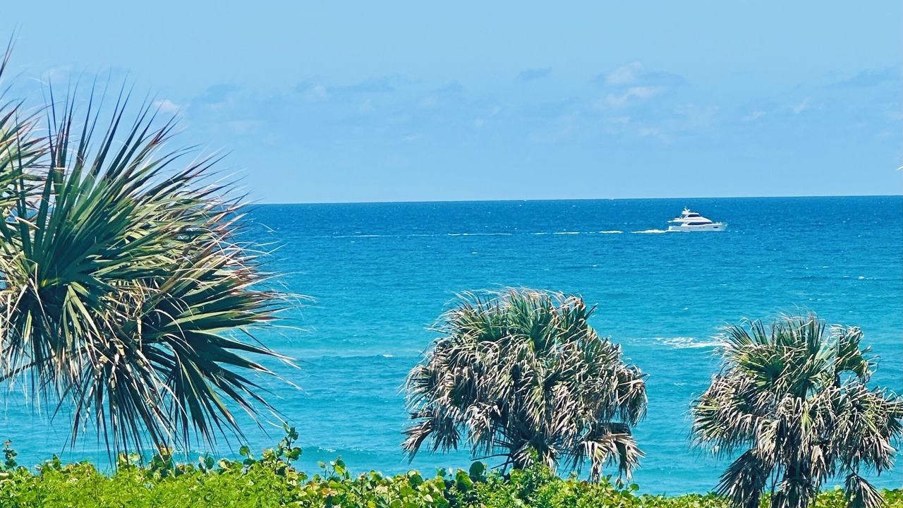 Photo of Others in Juno Beach