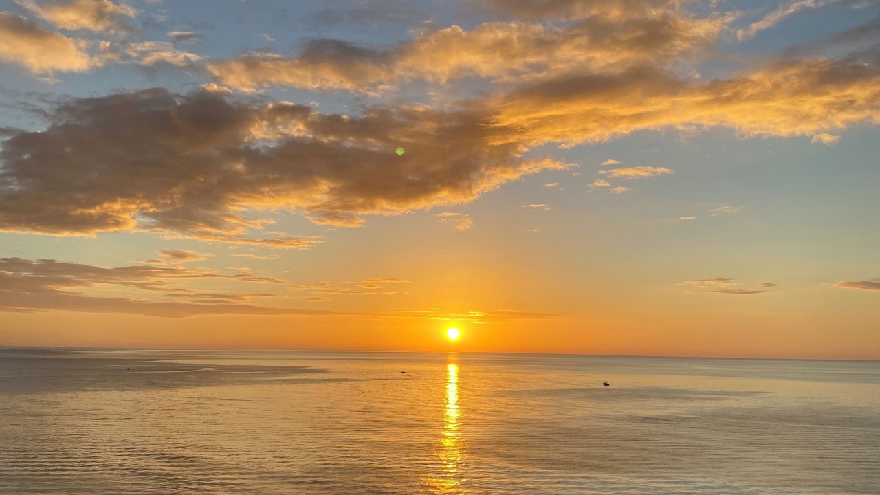 Photo of Others in Marco Island