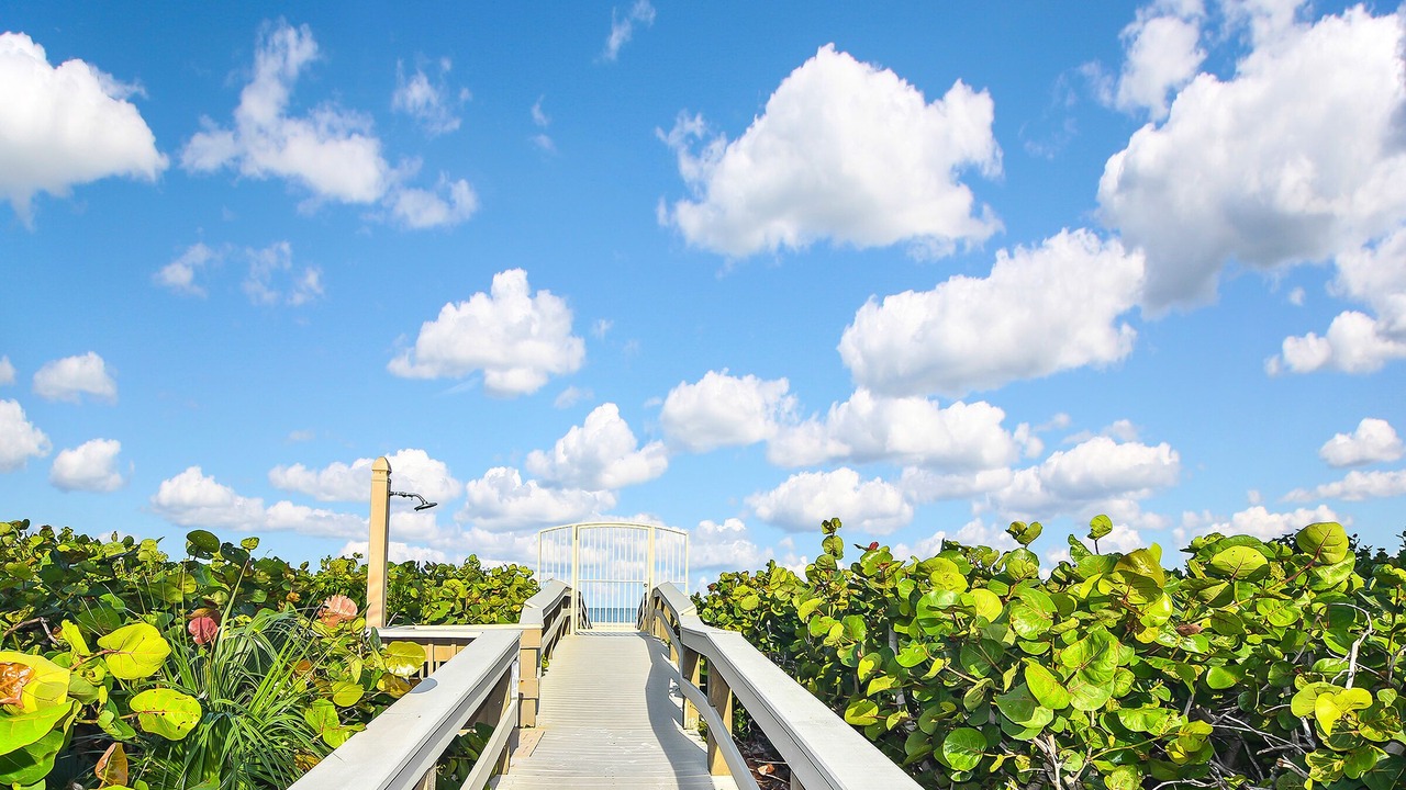 Photo of Outdoor in Marco Island