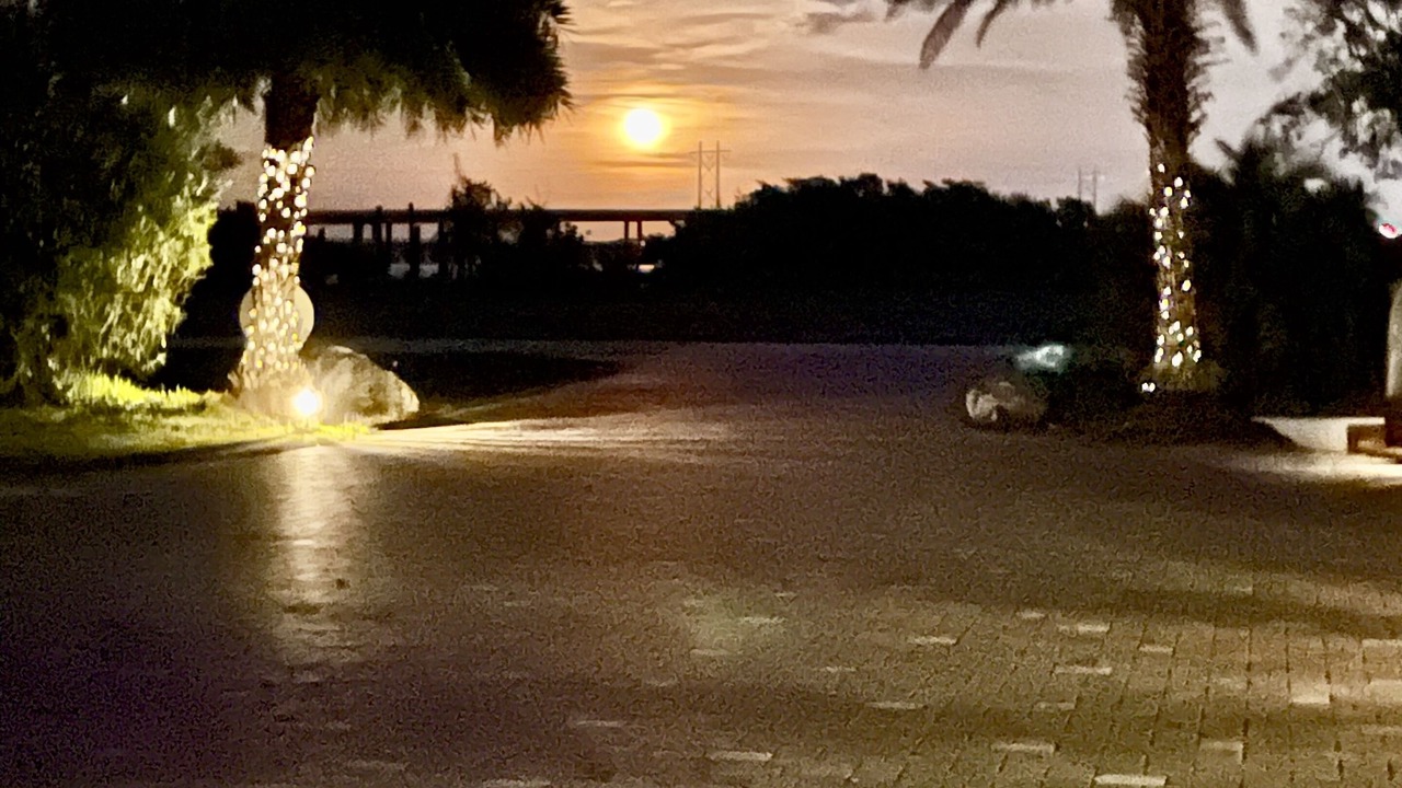 Photo of Outdoor in Summerland Key