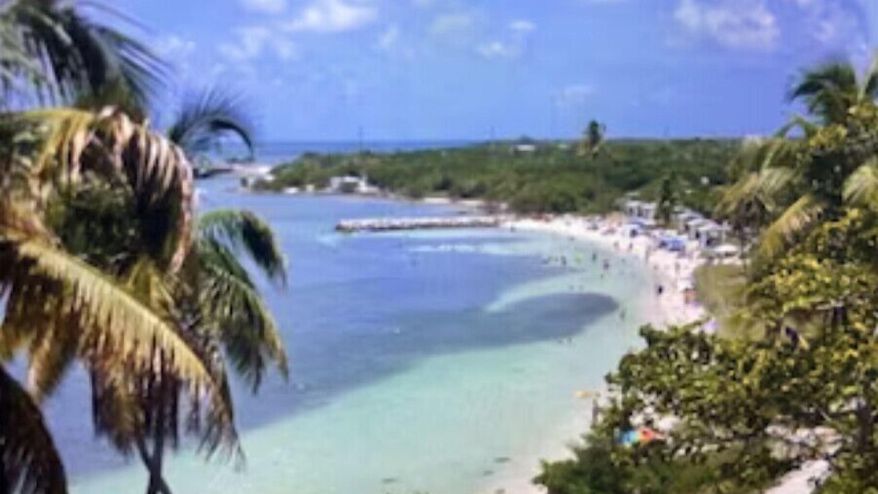 Photo of Others in Summerland Key