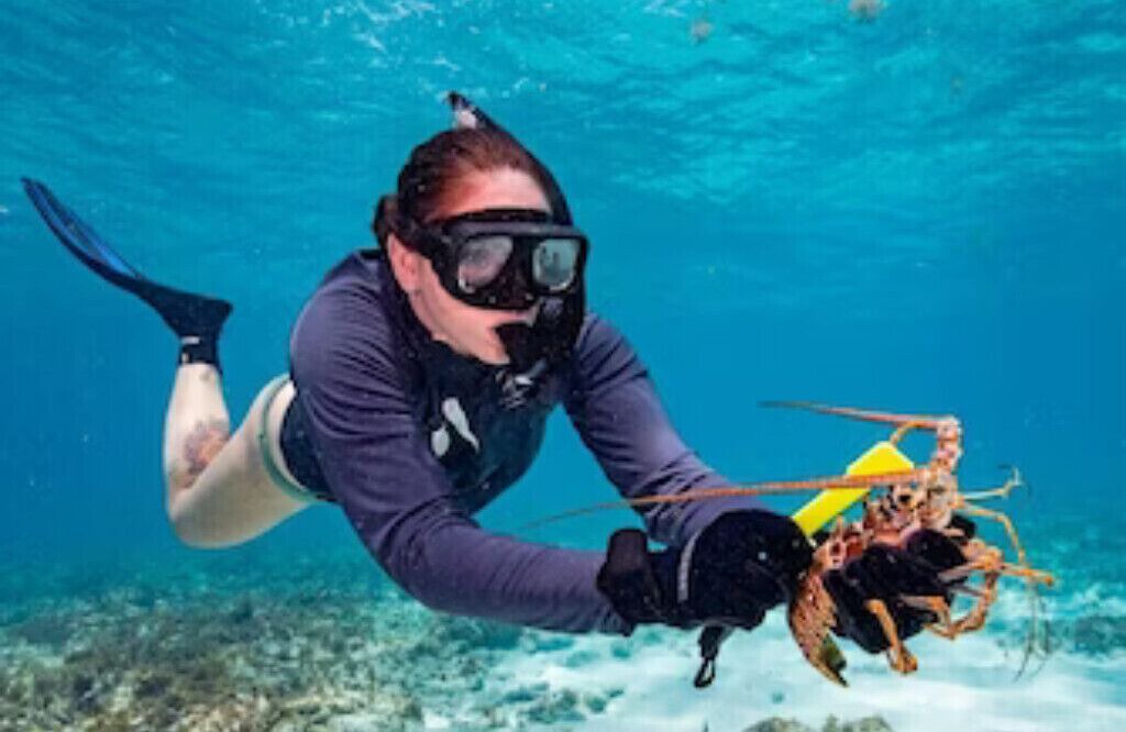 Photo of Others in Summerland Key