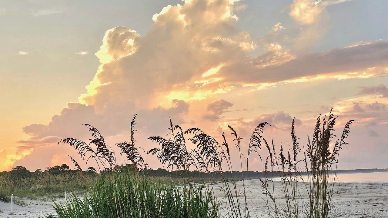 Photo of Others in Carrabelle