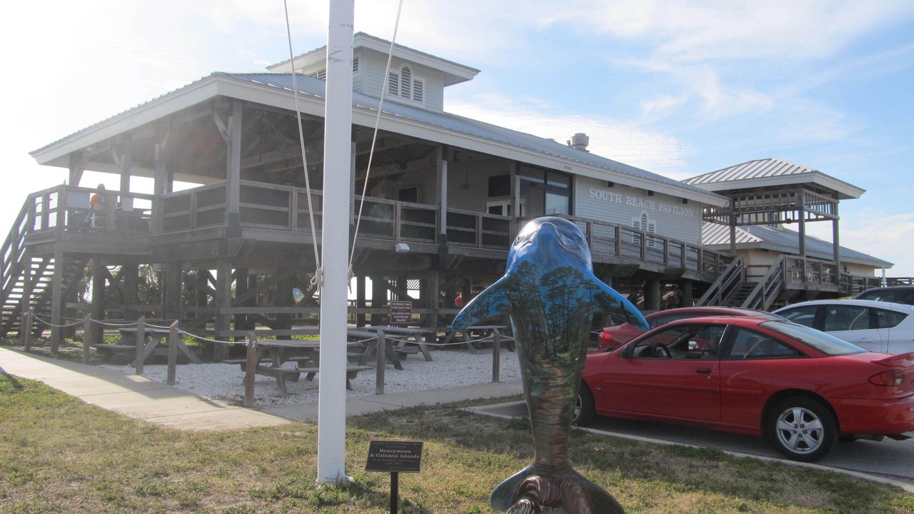 Photo of Others in Dunedin