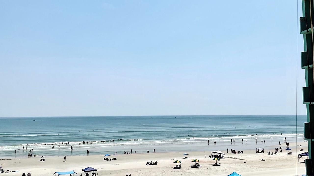 Photo of Others in New Smyrna Beach