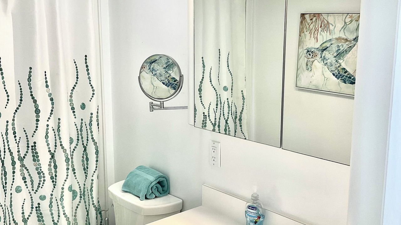 Photo of Bathroom in New Smyrna Beach