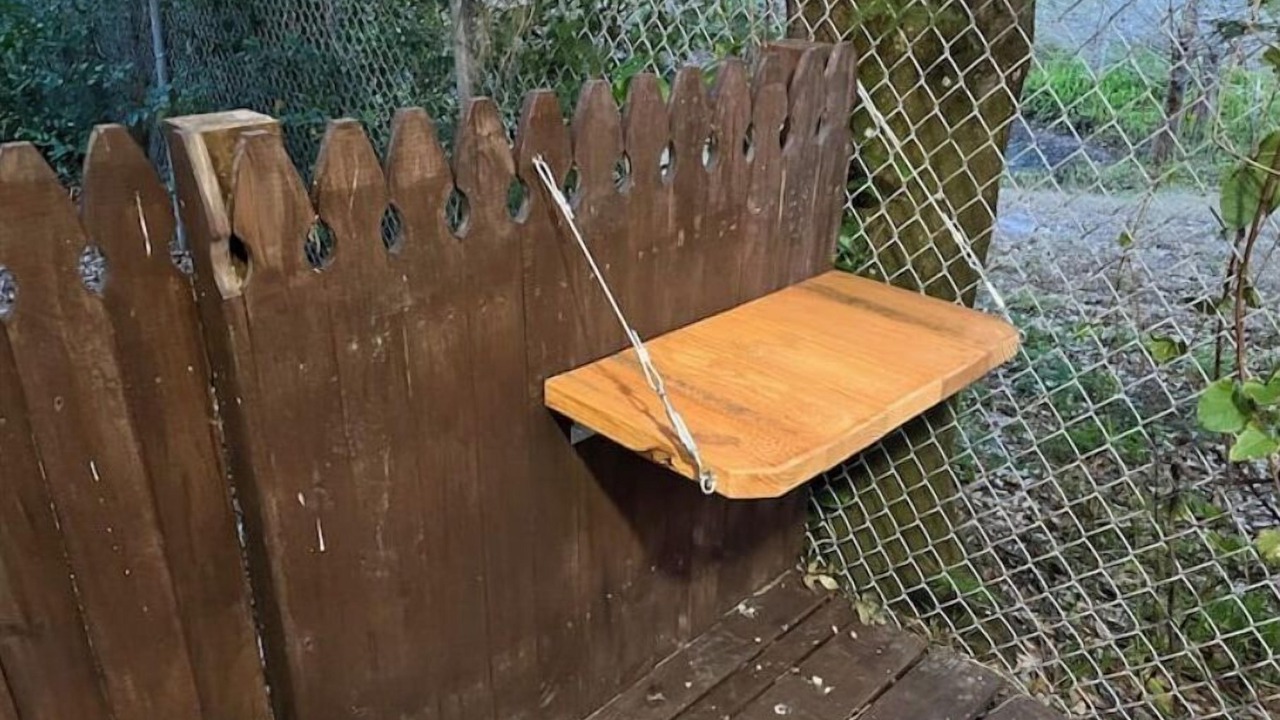 Photo of Outdoor in Largo