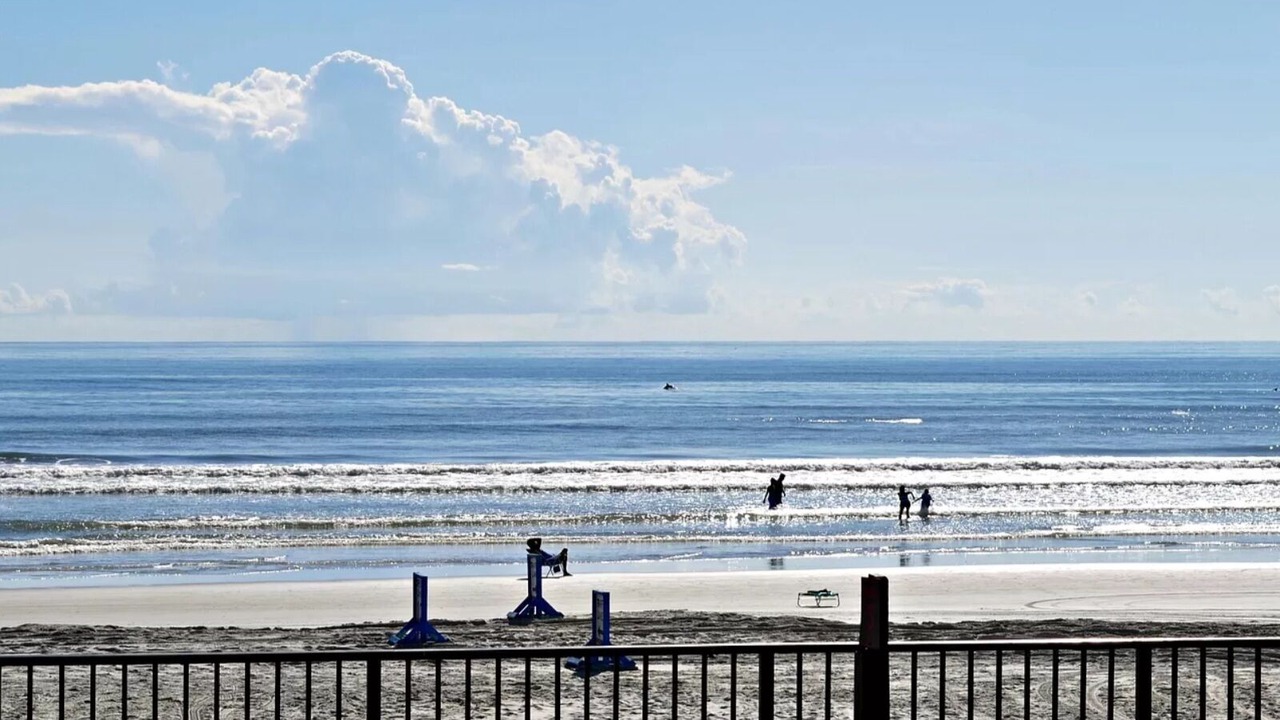 Photo of Others in Daytona Beach Shores