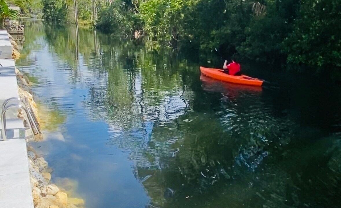 Photo of Outdoor in Crystal River