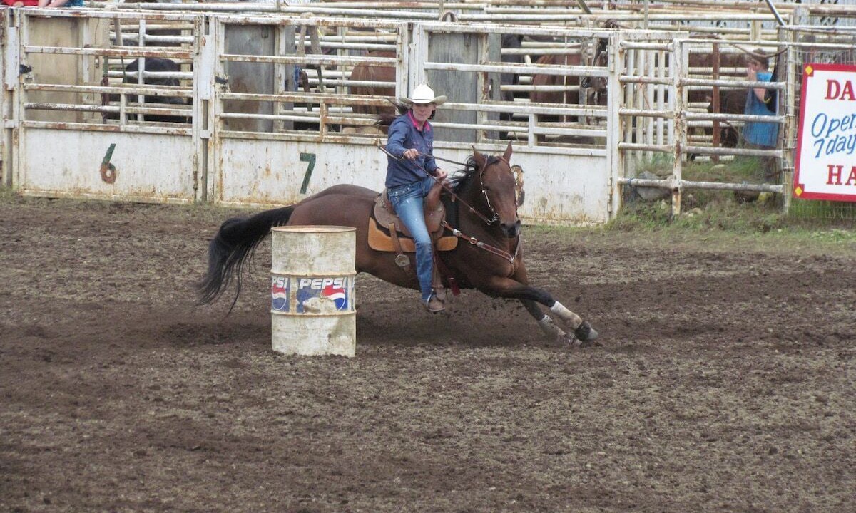 Photo of Others in Homestead