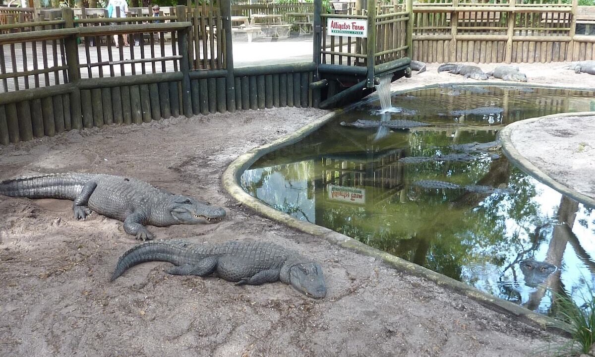 Photo of Others in Homestead