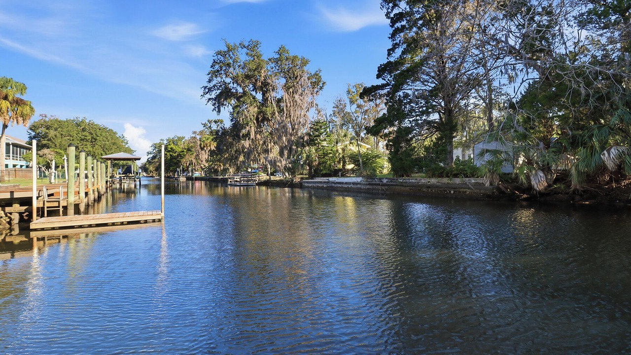 Photo of Others in Crystal River