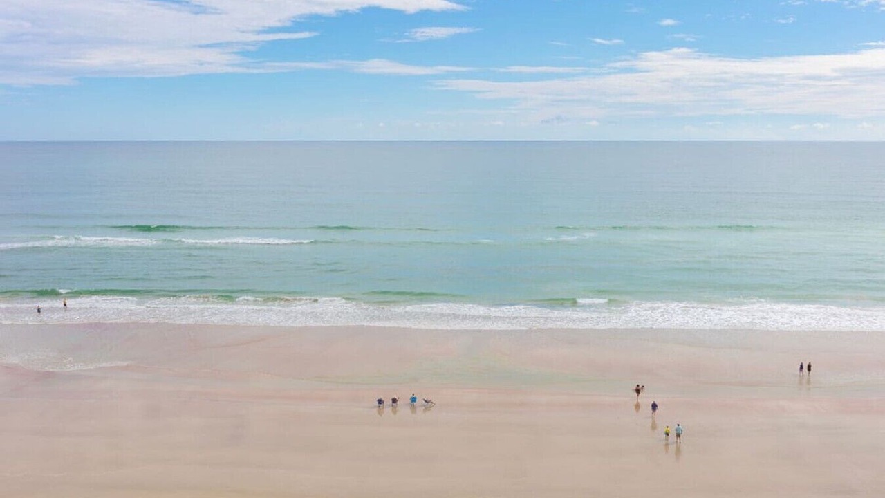 Photo of Others in Daytona Beach Shores