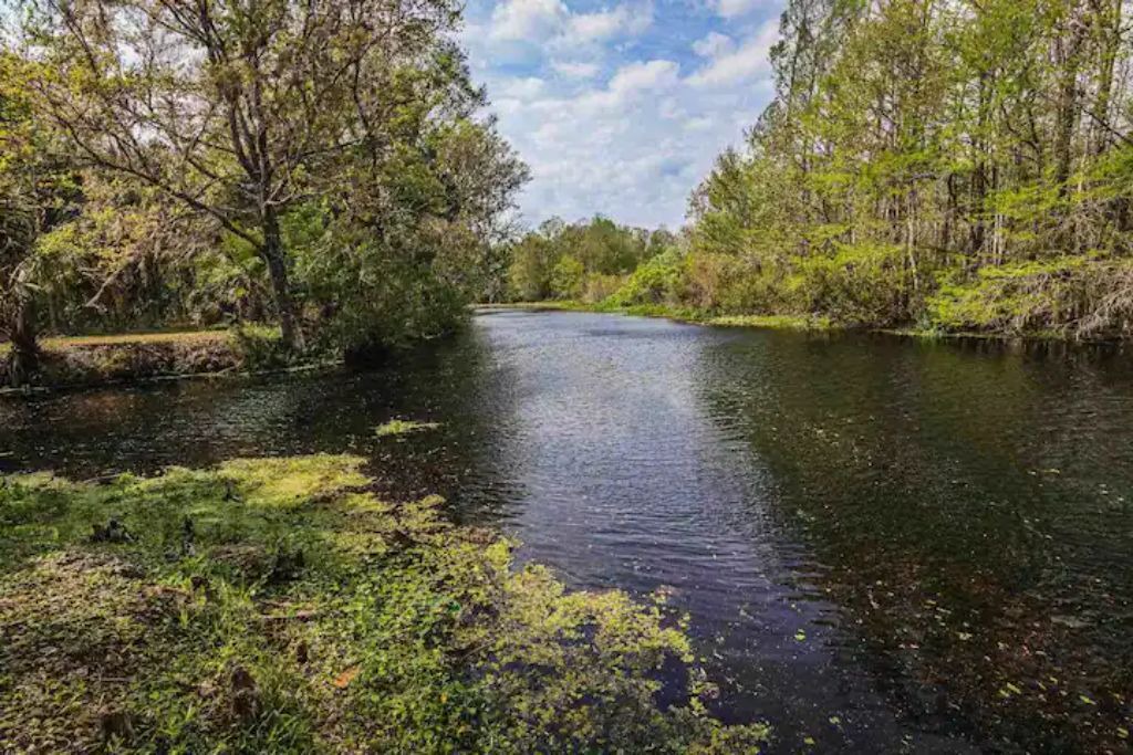 Photo of Outdoor in Citrus Springs