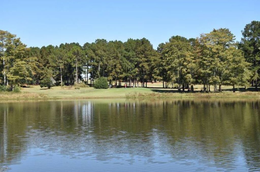 Photo of Outdoor in Ashburn